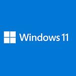 Microsoft Windows 11 Famille 64 bits - OEM (DVD)